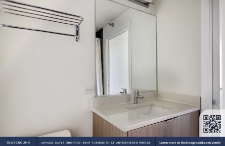 1 Bedroom South Loop Apartment