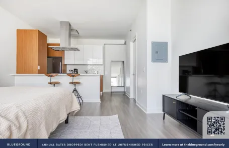 Studio Streeterville Apartment