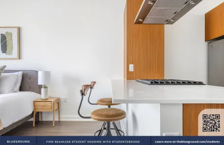 Studio Streeterville Apartment