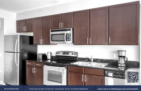 Studio Chicago Loop Apartment