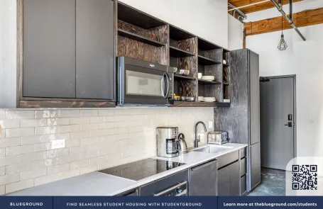 Studio Lincoln Park Apartment