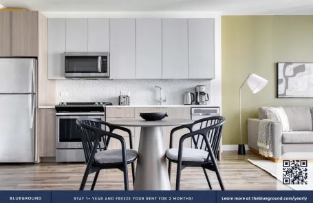 1 Bedroom South Loop Apartment