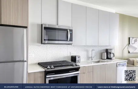 1 Bedroom South Loop Apartment