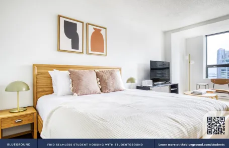 1 Bedroom Streeterville Apartment