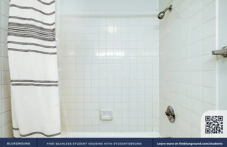 1 Bedroom Streeterville Apartment