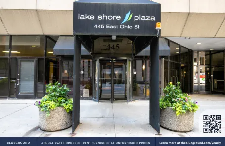 1 Bedroom Streeterville Apartment