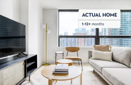 1 Bedroom Streeterville Apartment