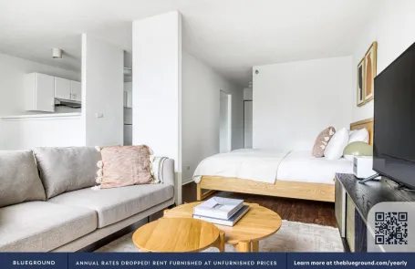 1 Bedroom Streeterville Apartment