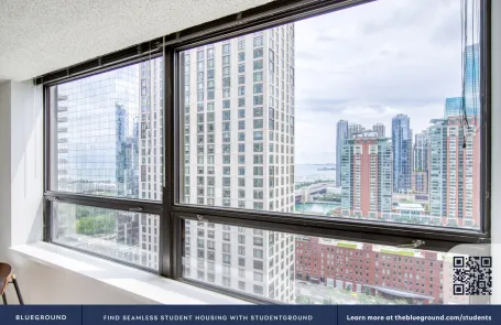 1 Bedroom Streeterville Apartment