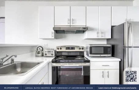 1 Bedroom Streeterville Apartment
