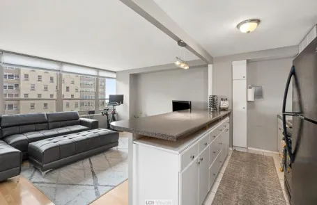 1 Bedroom Lakeview Apartment