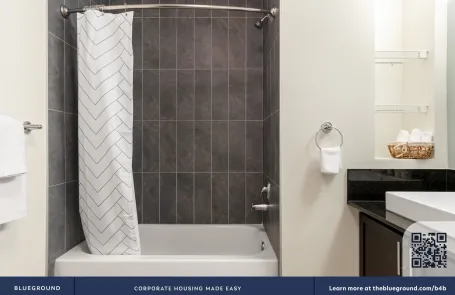 1 Bedroom Chicago Loop Apartment