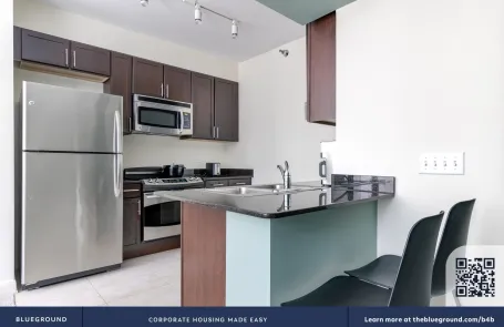 Studio Chicago Loop Apartment