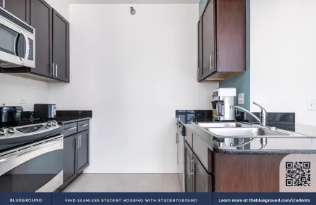Studio Chicago Loop Apartment