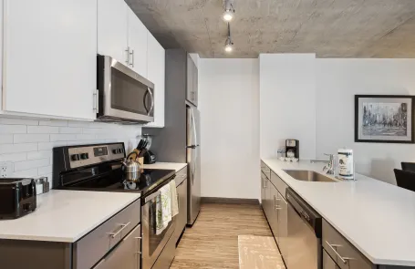 1 Bedroom Chicago Loop Apartment