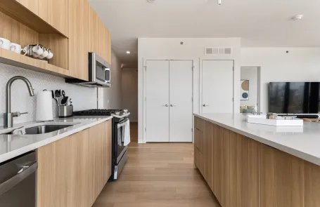 2 Bedroom Lincoln Park Apartment