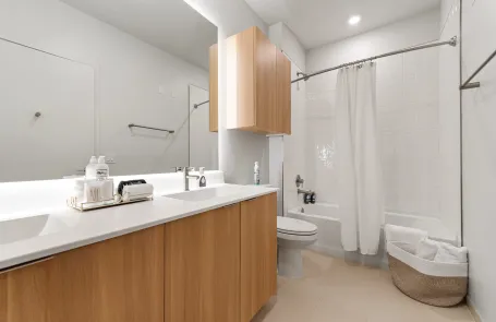 2 Bedroom Lincoln Park Apartment