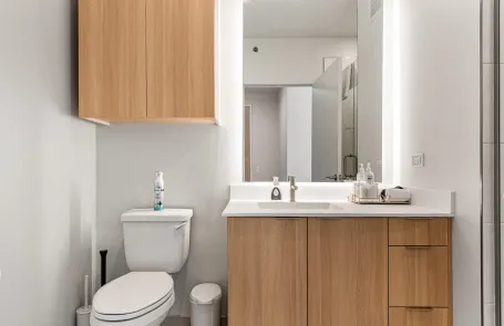 2 Bedroom Lincoln Park Apartment