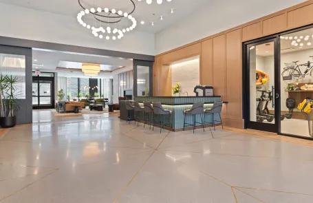 2 Bedroom Lincoln Park Apartment