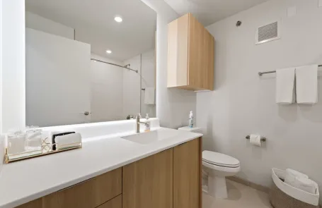 2 Bedroom Lincoln Park Apartment