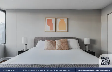1 Bedroom South Loop Apartment