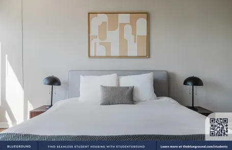 1 Bedroom South Loop Apartment