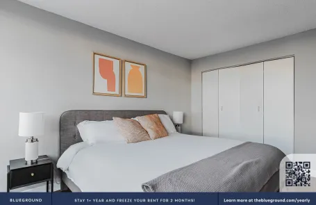 1 Bedroom South Loop Apartment
