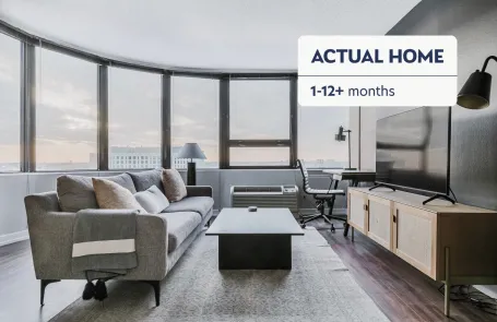 1 Bedroom South Loop Apartment
