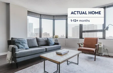 1 Bedroom South Loop Apartment