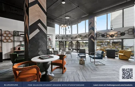 1 Bedroom South Loop Apartment
