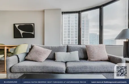 1 Bedroom South Loop Apartment