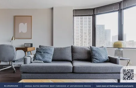 1 Bedroom South Loop Apartment