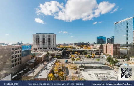 1 Bedroom South Loop Apartment