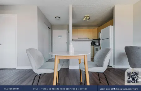 1 Bedroom South Loop Apartment