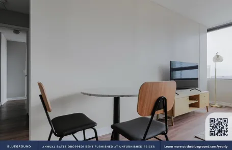 2 Bedroom South Loop Apartment
