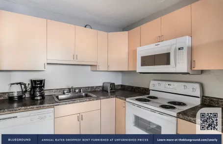 1 Bedroom South Loop Apartment