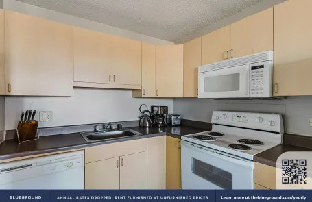 1 Bedroom South Loop Apartment