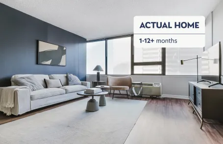 1 Bedroom South Loop Apartment