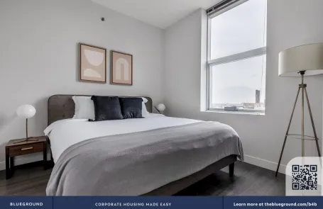 1 Bedroom South Loop Apartment