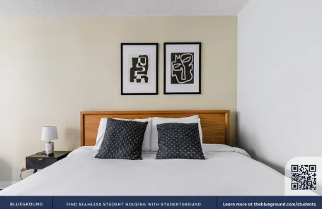 1 Bedroom Streeterville Apartment