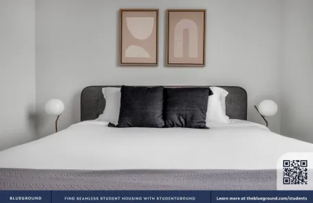 1 Bedroom South Loop Apartment