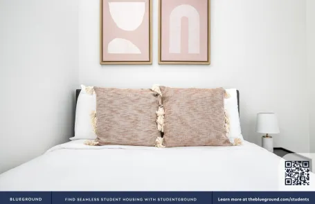 1 Bedroom South Loop Apartment