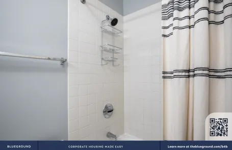 1 Bedroom Streeterville Apartment