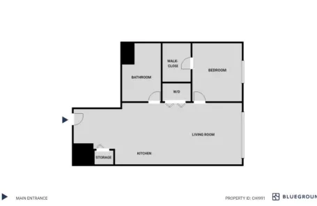 1 Bedroom South Loop Apartment