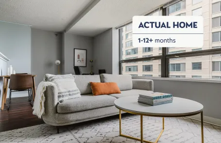 1 Bedroom Streeterville Apartment