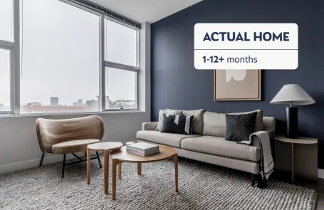 1 Bedroom South Loop Apartment