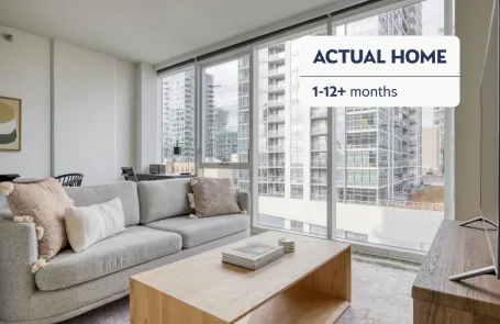 1 Bedroom South Loop Apartment