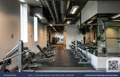 1 Bedroom South Loop Apartment