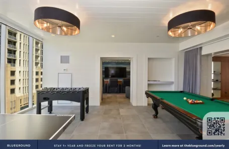 1 Bedroom South Loop Apartment