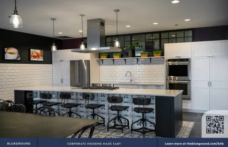 1 Bedroom South Loop Apartment